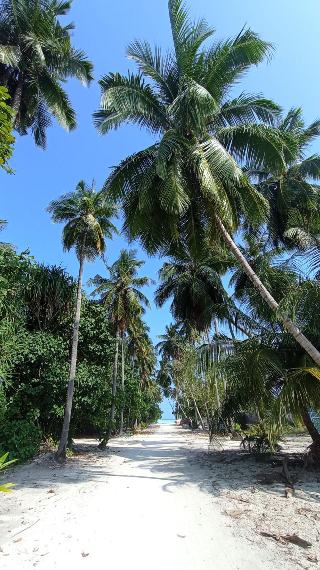 Ahiva Village Fulhadhoo Bagian luar foto